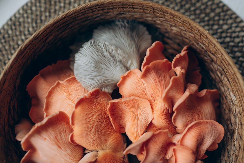 Rhodiola, Bacopa, Lion's Mane: Adaptogens Worth the Money?