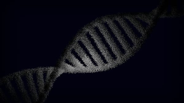 Lp(a): The Genetic Cardiovascular Risk Most Doctors Never Test