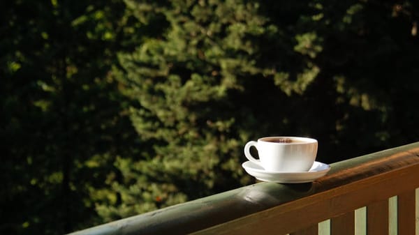 Caffeine Half-Life: Why Your Coffee Habit Might Be Ruining Your Sleep