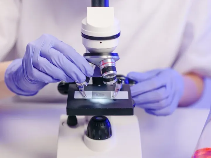 SHBG Explained: The Protein That Hides Your Real Testosterone