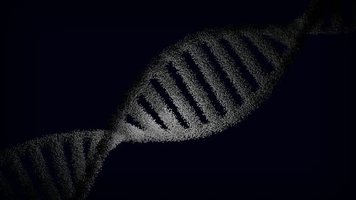 Lp(a): The Genetic Cardiovascular Risk Most Doctors Never Test